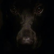 Foto von Lynda Manning