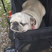 Cindy Umberger's photo