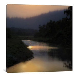 iCanvasART Quiet Forest Canvas Print by Erin Clark 37 x 37