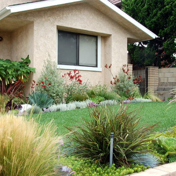 Colorful front yard