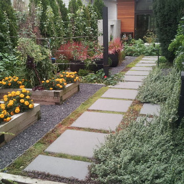 East Van Special Renovation