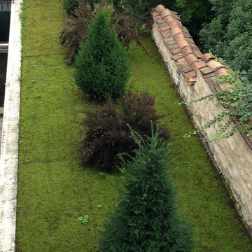terrasse de mousse à Asnières