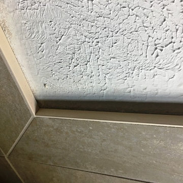 BATHROOM - Contemporary Tub-To-Shower 12 x 24 TanTile and Linear Mosaic Accent