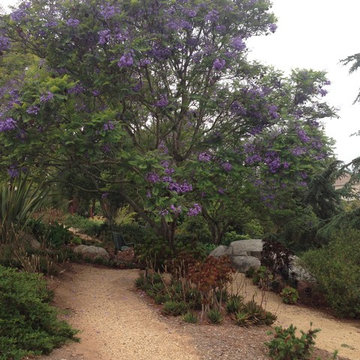 Design Build: Vista Botanical Home