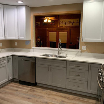 Contemporary Kitchen Renovation