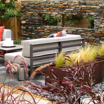 San Juan Capistrano Contemporary Woodland