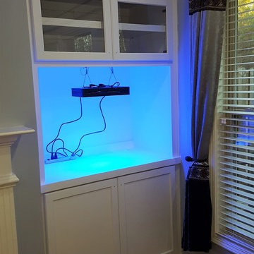 Fishtank and Home Altar Fireplace Built-ins