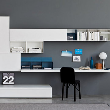 Wall Units - Media Centers - Floating Shelving - Bookcases