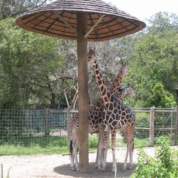 Natural Reed Thatch Umbrella - zoo exhibit - Outdoor Umbrellas