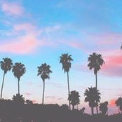 Alena Corcoran's photo