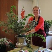 Alyssa Downs's photo