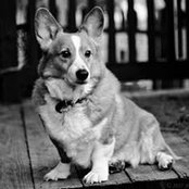 Jim Boyle's photo