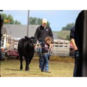 Stacy Erdmann's photo