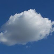 Elena Cassutti's photo