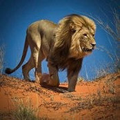 Craig Miller's photo