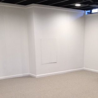 Design ideas for a small fully buried basement in Detroit with beige walls, carpet and beige floors.