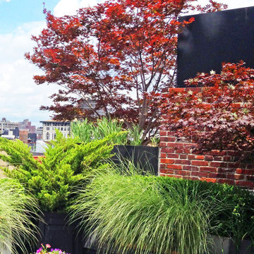 Soho, NYC Contemporary Rooftop Terraces with Layered Plantings
