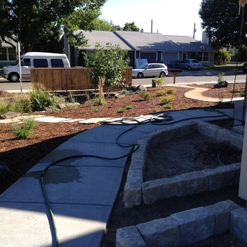 Xeric & Native Landscape, Sandstone Planter, Sandstone Path