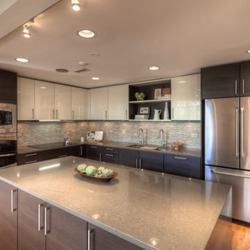Chicago Loft Kitchen