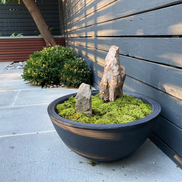 Windsor Terrace backyard
