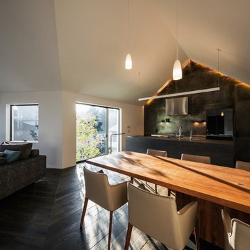 Branch Haus 丘の上に建つ家