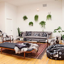 House Plants