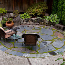 Zen Garden Plants