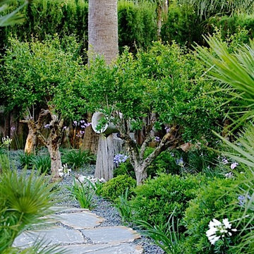 jardines de casa jazmín.