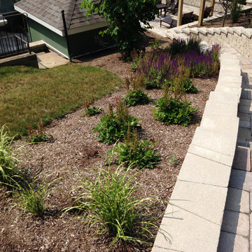 Hillside Landscape and Patio