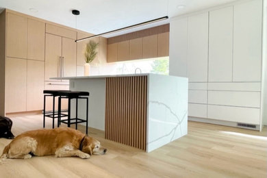 Imagen de cocina comedor escandinava con fregadero bajoencimera, armarios con paneles lisos, puertas de armario de madera clara, encimera de cuarzo compacto, electrodomésticos con paneles, suelo vinílico, una isla y encimeras blancas