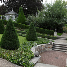 Garden + yard