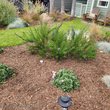 Small Dana Point Front Garden Makeover