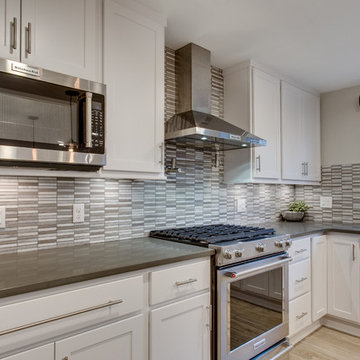 Contemporary Kitchen Remodel Alexandria, VA