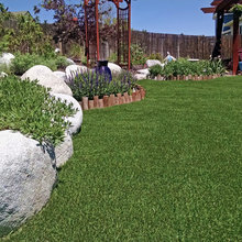 Artificial Lawn looks