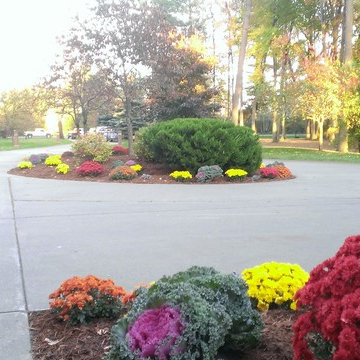 Lake Mitchell Home Cadillac, Mi