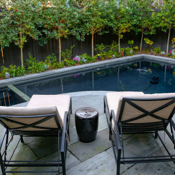 Baronne Street | Layered Poolside Garden