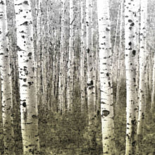 Paintings