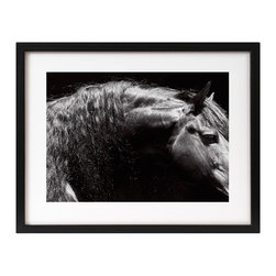 James Houston Design - Horse Series (print only) - Fine Art Prints