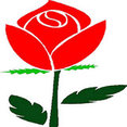 Rick's Landscaping & Lawn Care's profile photo