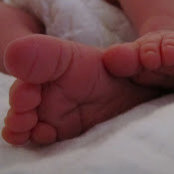 Photo de Noam Weisman