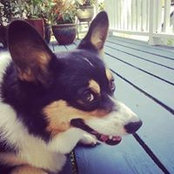 Gordon Wescoat's photo