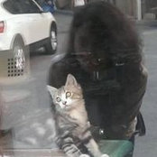 Foto de Yasemin Filizkıran

