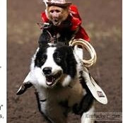 Todd Swanson's photo