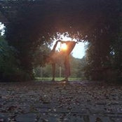 Liliana Ruiz-Healy's photo
