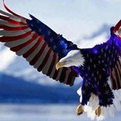 Will Eikenberry's photo