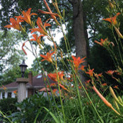 Gretchen Portnoy's photo