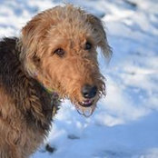 Paula Morin's photo