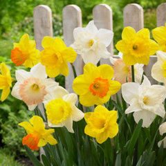 R&S Landscaping