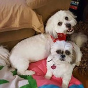 Nancie Fogelman's photo