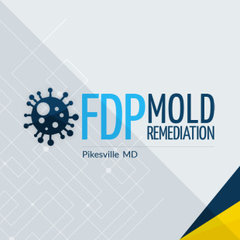 FDP Mold Remediation of Pikesville